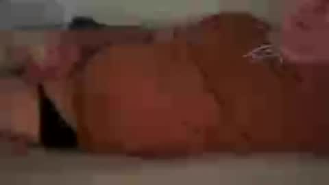 funnyhans online show from July 20, 8:54 pm