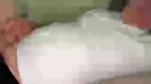 funnyhans online show from July 13, 5:00 am