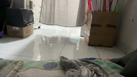 gab021593 online show from January 14, 3:09 pm