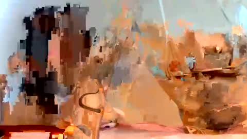 Snapshot of gabrielaycc chatting on January 23, 11:37 am Dani online show from January 23, 11:37 am