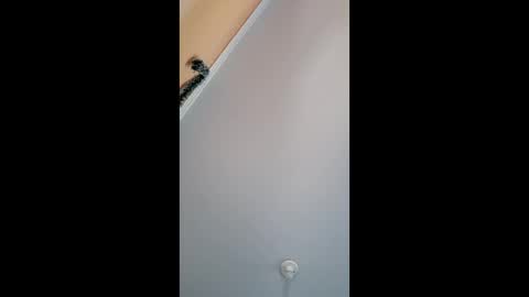 gabrieli311783 online show from November 30, 3:19 pm