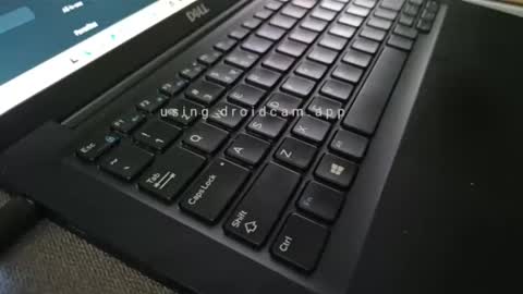 GaDDem online show from November 2, 1:33 pm