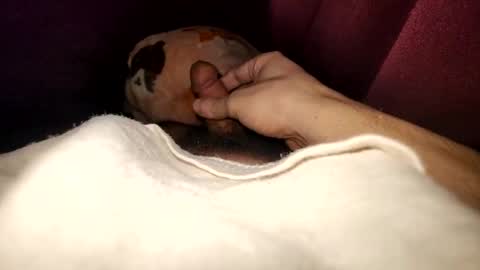 ganja28511 online show from January 24, 9:17 am