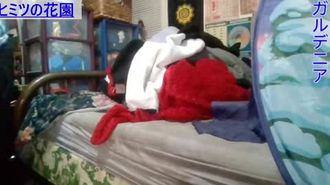 Gardenia online show from March 1, 7:08 am