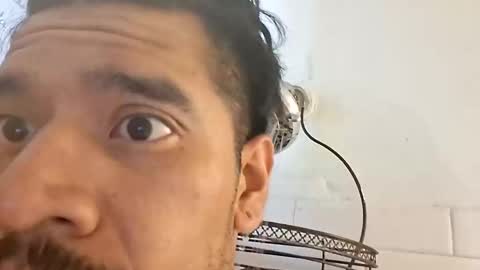 gbaby91331 online show from October 21, 3:38 pm