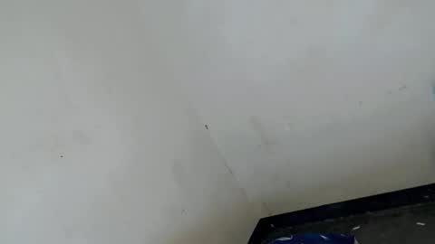 gelo online show from March 21, 12:54 pm