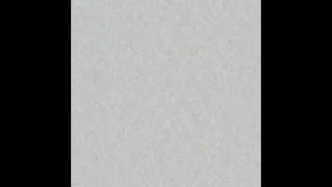 Daddy Jokes online show from February 1, 1:41 pm