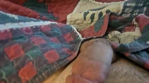 Gldyucame online show from February 16, 5:00 pm