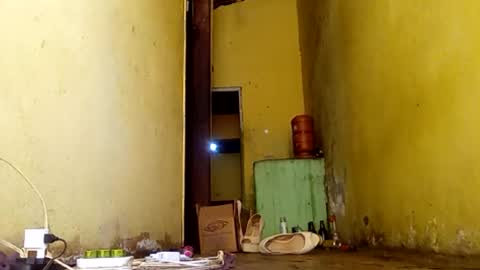 Gaby online show from November 14, 6:54 pm