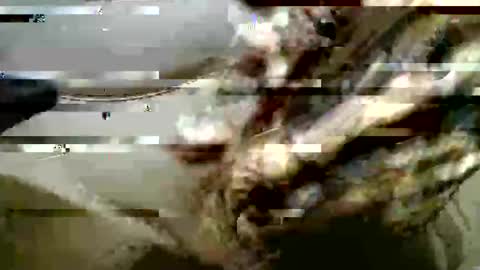 ghost1805 online show from October 10, 7:03 am