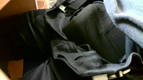 Snapshot of giovet chatting on December 31, 1:41 pm giovet online show from December 31, 1:41 pm