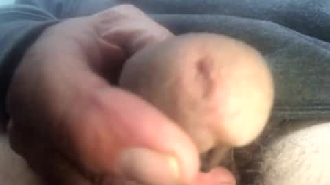 Snapshot of gngnxxx chatting on December 5, 7:11 pm gngnxxx online show from December 5, 7:11 pm