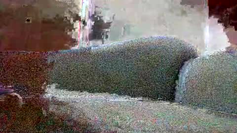 Geny online show from September 11, 3:46 pm