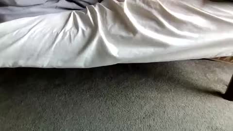 watch me stroke online show from April 28, 4:33 pm