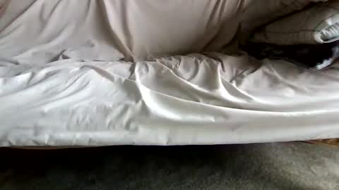 watch me stroke online show from April 26, 12:14 pm