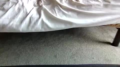 watch me stroke online show from April 29, 7:08 pm