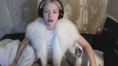 graylovescookies online show from December 19, 10:45 am