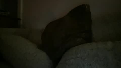 Sonny online show from December 25, 2:35 am