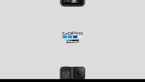 Greenlungs8195 online show from December 9, 7:06 am