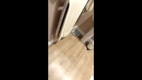 gt79802068 online show from October 9, 9:31 pm