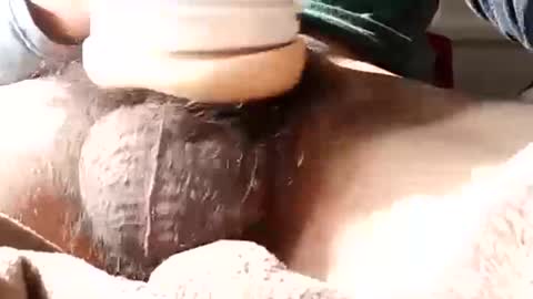 guapopapi88 online show from January 12, 8:57 pm