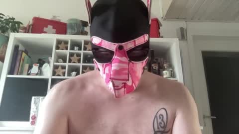 gummicasual online show from December 18, 10:43 am