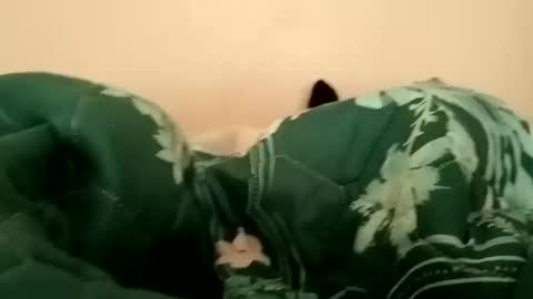 guttybeton online show from April 17, 6:16 am