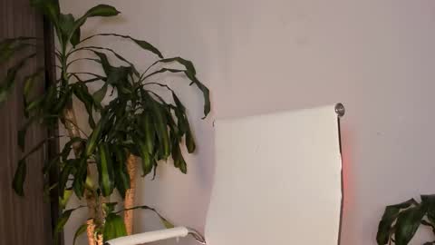 Snapshot of hailey_firee chatting on November 1, 2:56 am Hailey online show from November 1, 2:56 am