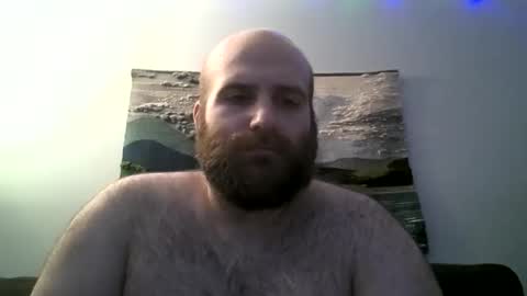 Hairiest Bear online show from December 13, 7:04 am