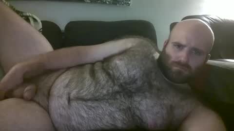 Hairiest Bear online show from September 14, 4:59 am