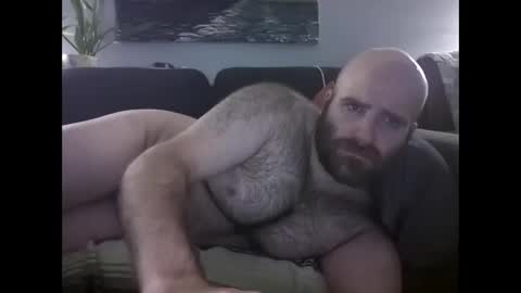 Hairiest Bear online show from April 2, 9:16 am