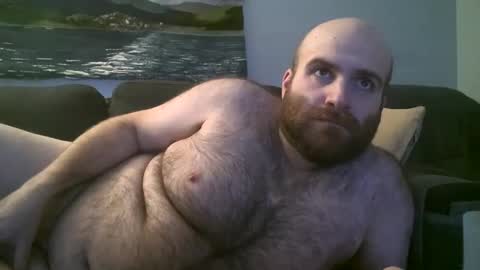 Hairiest Bear online show from January 20, 3:59 am