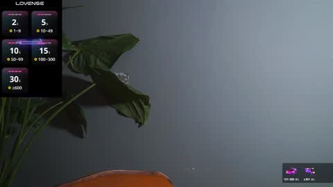 HairyRobXxX online show from October 2, 3:44 pm