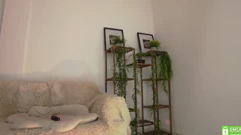 Haley  online show from October 2, 11:31 am