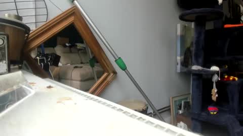 handncocknocum online show from February 4, 11:16 am