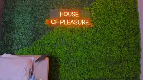 Hanna online show from February 3, 11:36 am