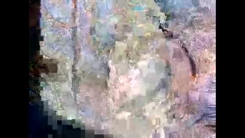 harruu online show from February 5, 2:37 am