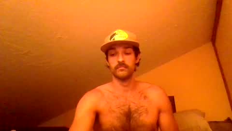 harrycheeks online show from June 29, 6:43 am