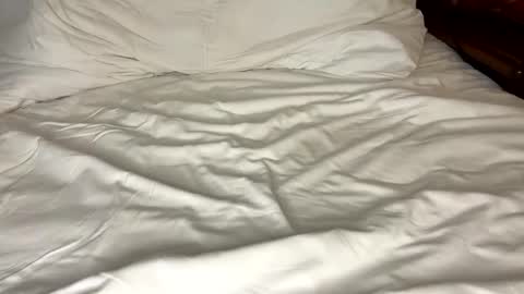 David Whinston Smith online show from October 28, 3:40 am