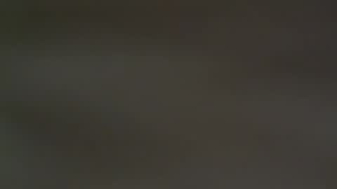 hellohowareyou66 online show from February 13, 6:37 pm