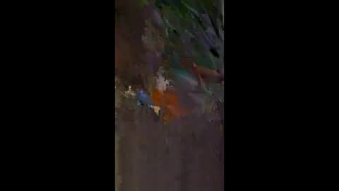 heridea online show from December 21, 4:35 pm