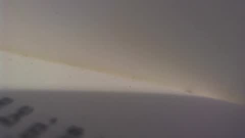 mature online show from February 5, 9:46 am