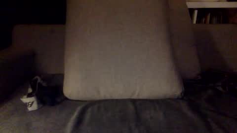 fit uk decorator online show from May 9, 11:22 pm