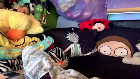 HiGHNESS CANNA online show from March 26, 4:40 am