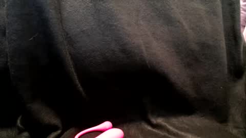 Snapshot of hoiiand48482 chatting on January 13, 10:25 am hoiiand48482 online show from January 13, 10:25 am