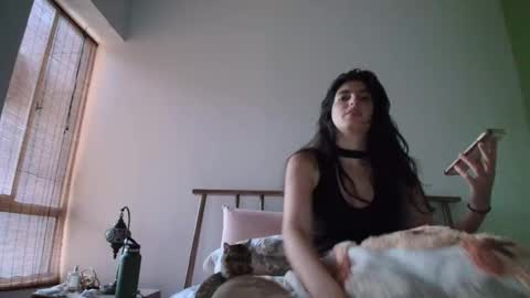 hollyshit_ online show from November 10, 10:34 pm