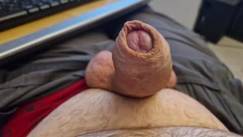 Homer Jay Simpson online show from July 28, 10:31 pm