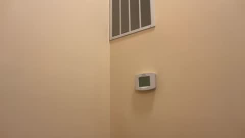 honey_man14 online show from February 13, 6:55 pm