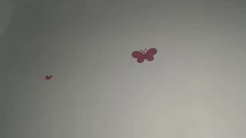 Iris online show from February 15, 7:45 pm