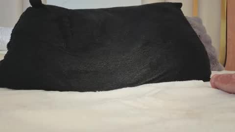 Joy  online show from November 3, 10:05 am